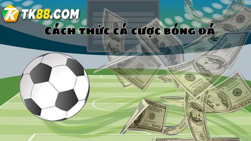 Các hình thức cá độ bóng đá quen thuộc của người chơi tại TK88