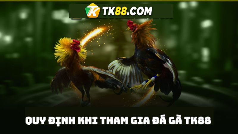 Nắm rõ quy định khi tham gia đá gà online TK88