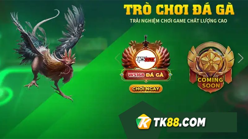 3 sảnh đá gà trực tuyến TK88 cho người chơi lựa chọn