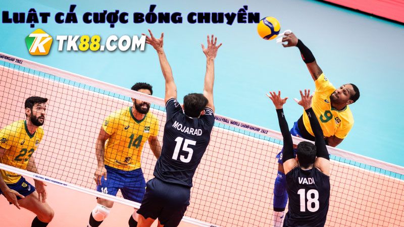 Quy luật đặt cược bóng chuyền ai cũng nên biết