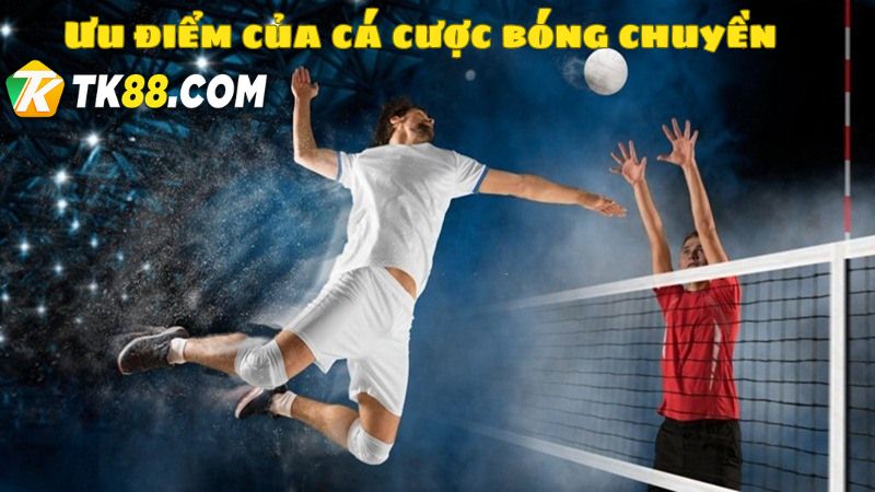 Ưu điểm khi chơi bóng chuyền tại trang web TK88 mỗi ngày